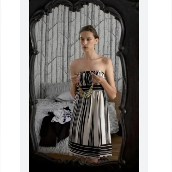 Anthropologie Dresses & Skirts - Anthropologie Corey Lynn Calter Bared Branches Dress